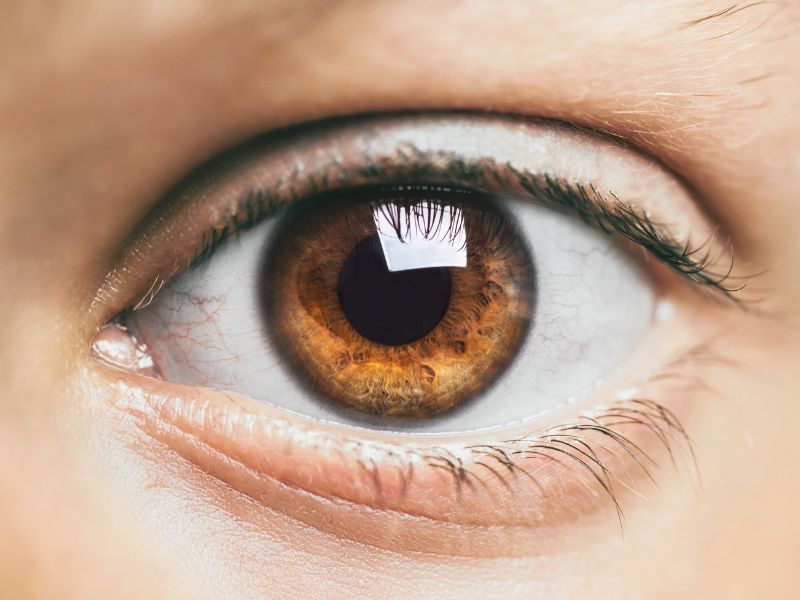 Exames Oftalmológicos Completos em Curitiba Atendimento Particular e por Convênio