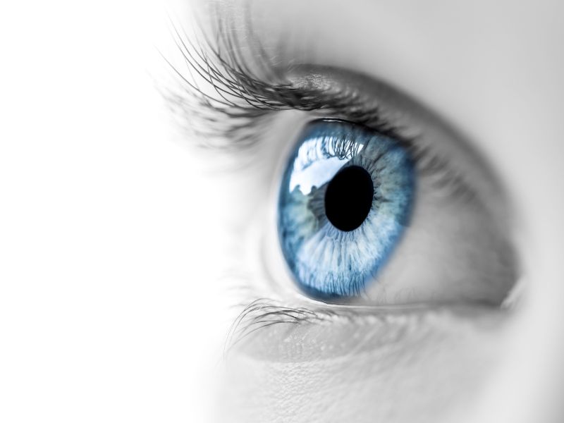 Mapeamento de Retina em Curitiba com Laudo Detalhado